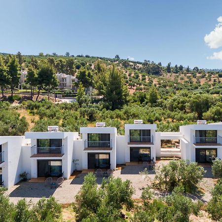 Olea Villas By Halu!, Cozy Villa In Nikiti Lagomandra Buitenkant foto