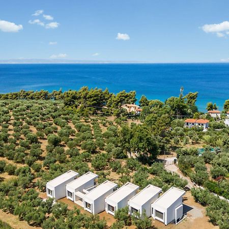 Olea Villas By Halu!, Cozy Villa In Nikiti Lagomandra Buitenkant foto
