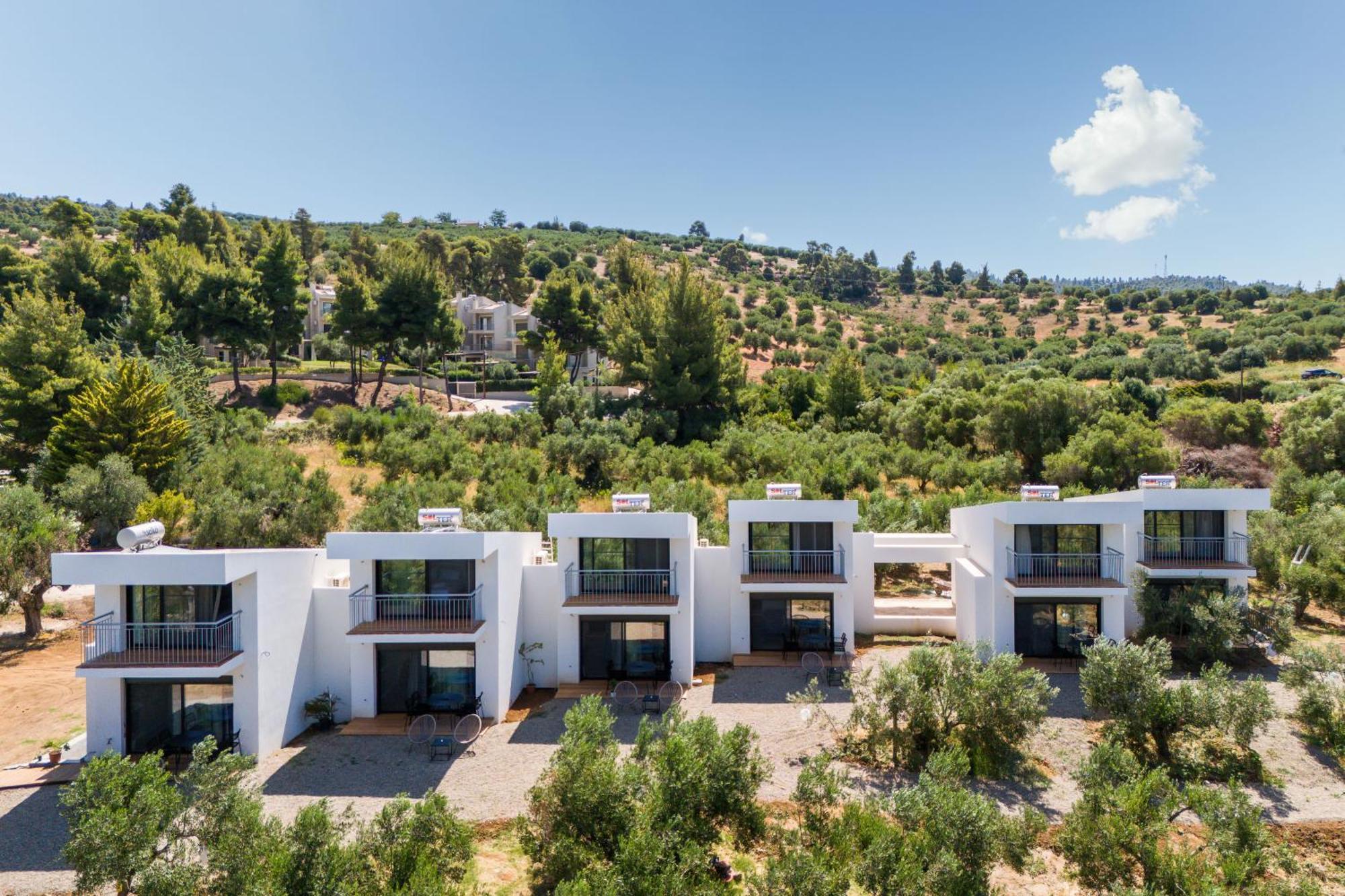 Olea Villas By Halu!, Cozy Villa In Nikiti Lagomandra Buitenkant foto