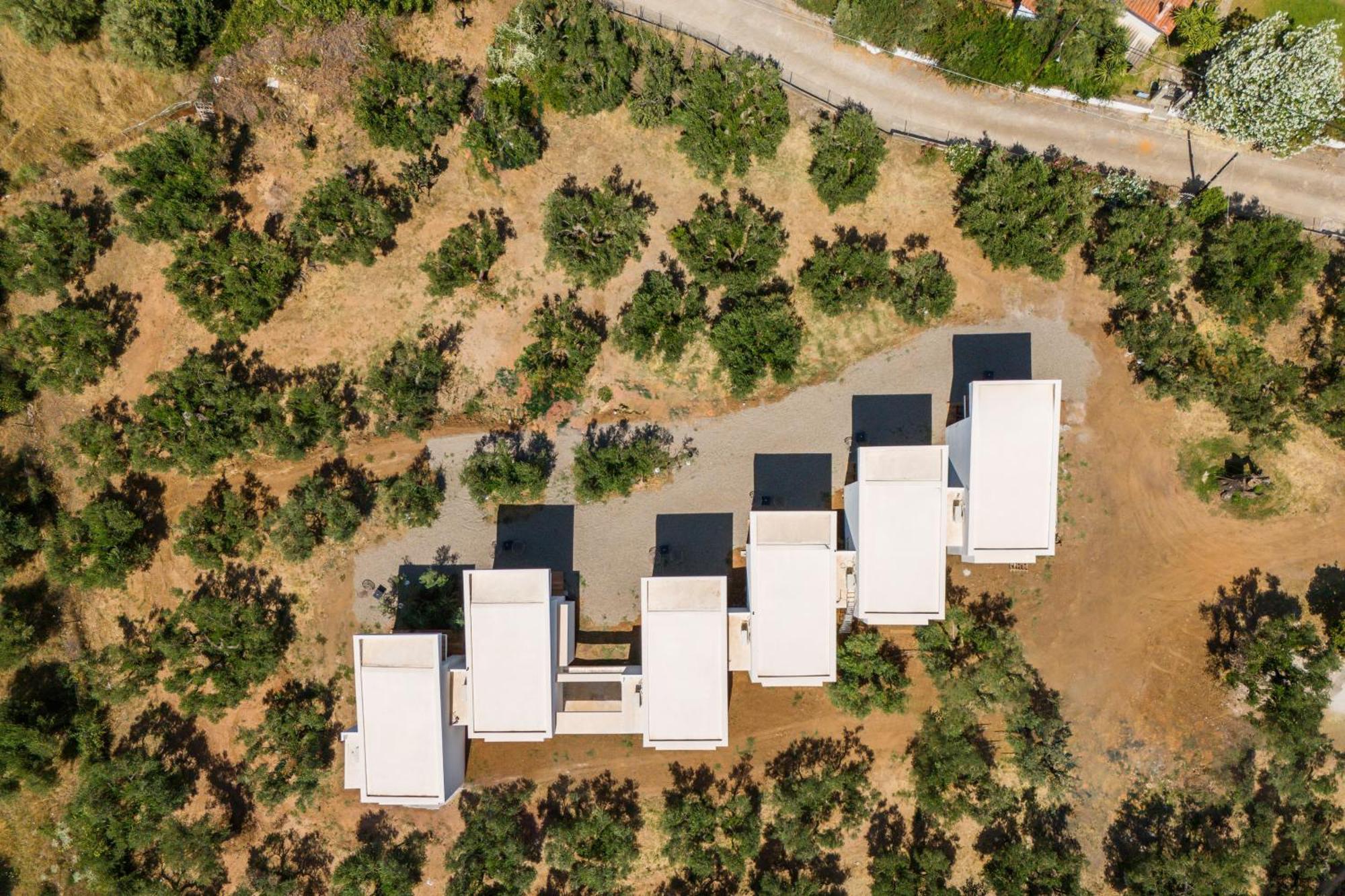 Olea Villas By Halu!, Cozy Villa In Nikiti Lagomandra Buitenkant foto