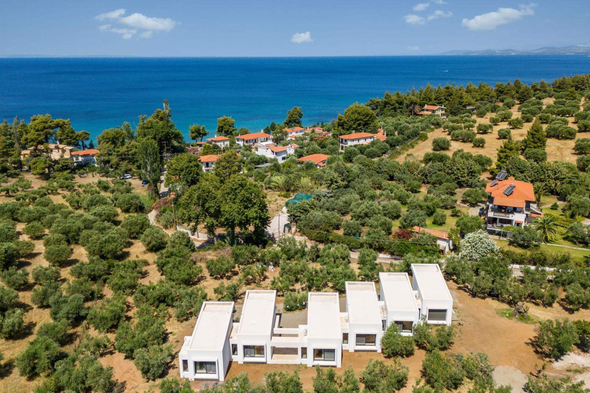 Olea Villas By Halu!, Cozy Villa In Nikiti Lagomandra Buitenkant foto
