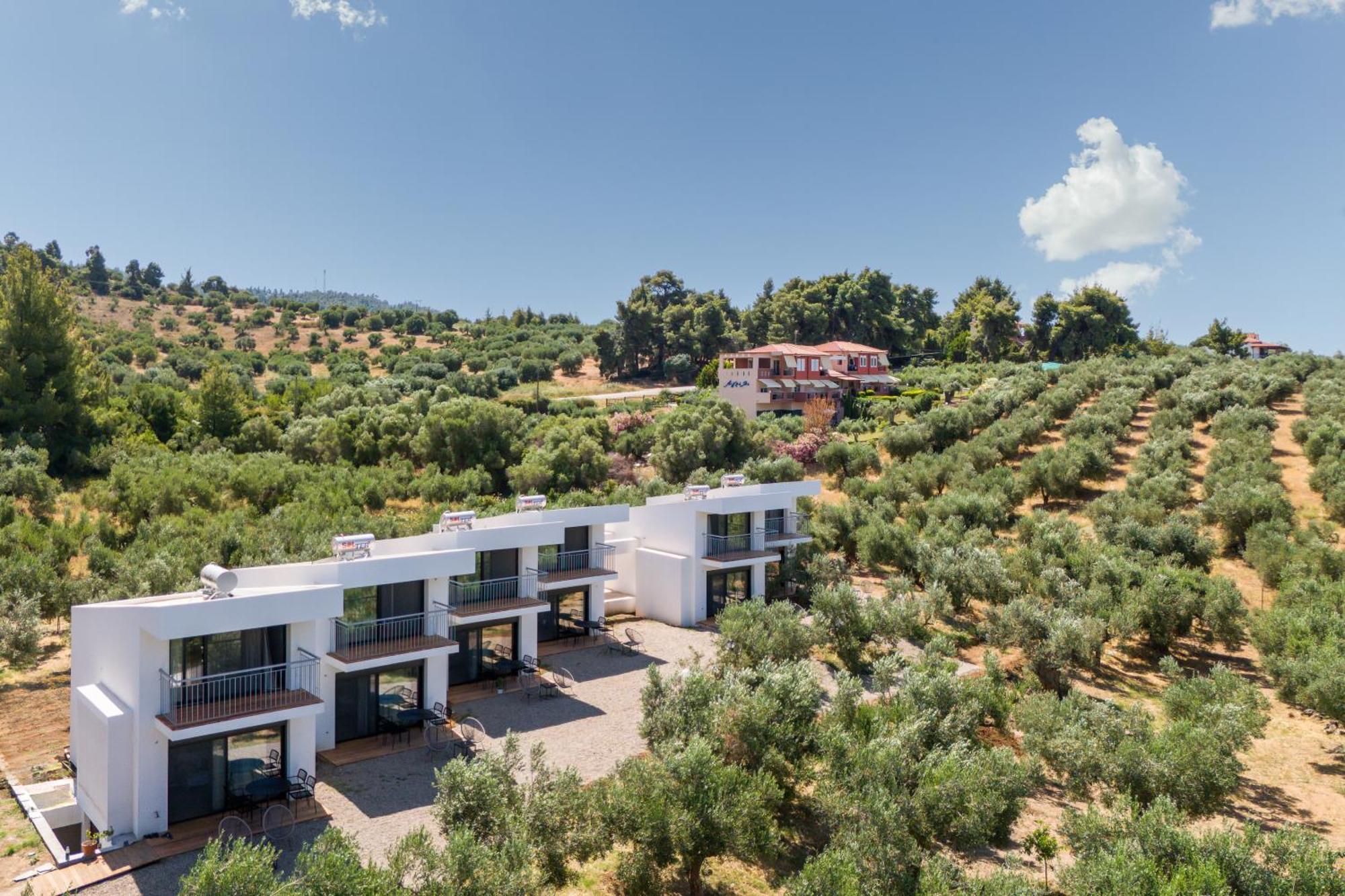 Olea Villas By Halu!, Cozy Villa In Nikiti Lagomandra Buitenkant foto